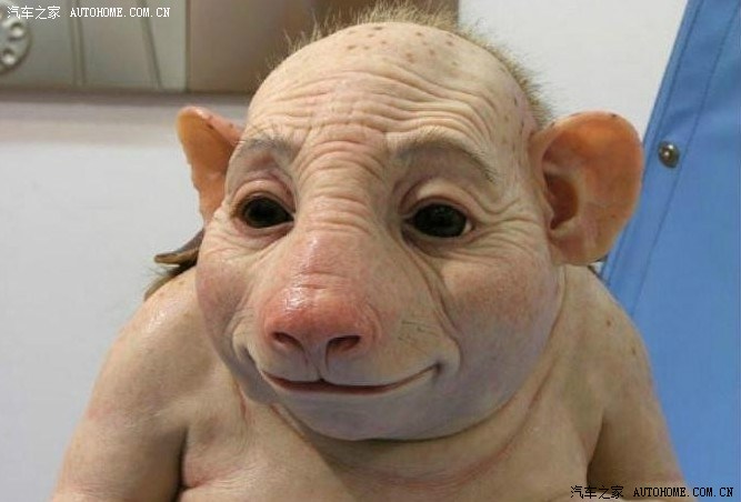 四只眼九条腿自由光屁股