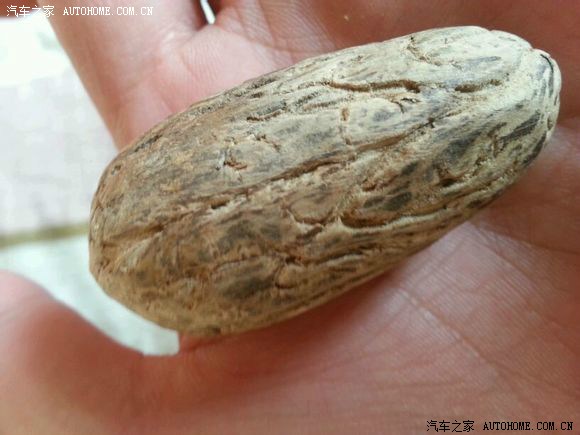 打磨千眼菩提果