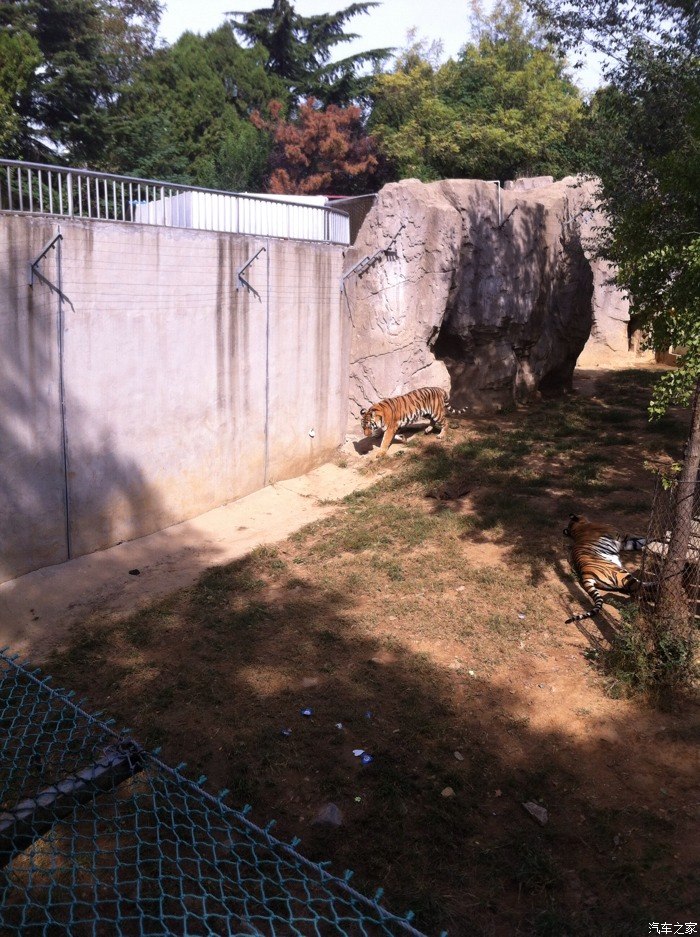 烟台南山公园一日游动物园