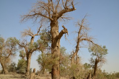 《两老头西游记》外一篇_自驾游论坛_手机汽车之家