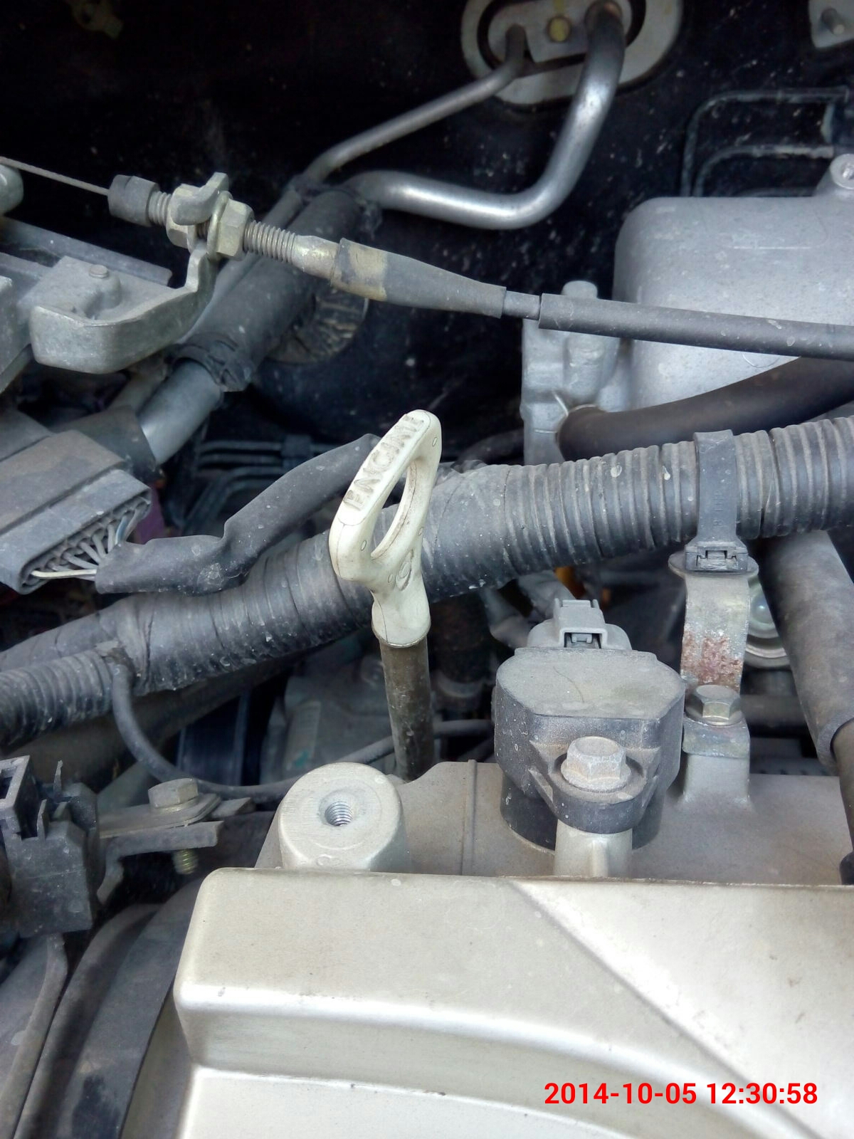 请教机油标尺在哪?