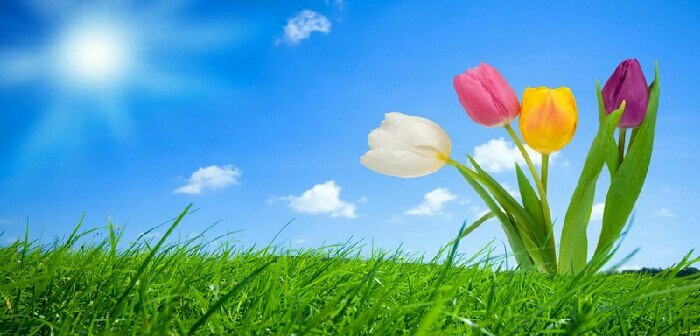 更换中控屏幕壁纸带来美好愉悦心情送多张精美壁纸