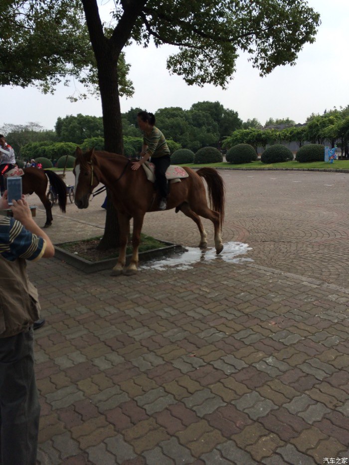 一女漢子把馬嚇得尿一地