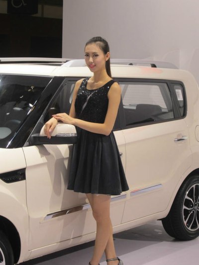 2014年(第13届)南京国际车展(主角