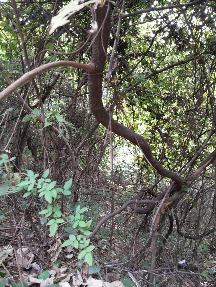 栖寒时光信阳浉河八景之贤岭松风及望湖轩游览帖海量多图