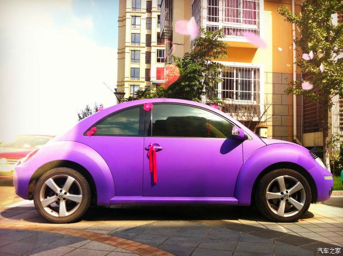 自己动手不求人第十七季