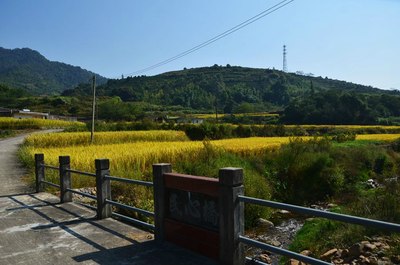 金秋十月—丰顺马图村