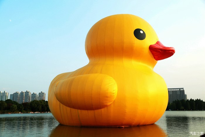 上海世纪公园大黄鸭!