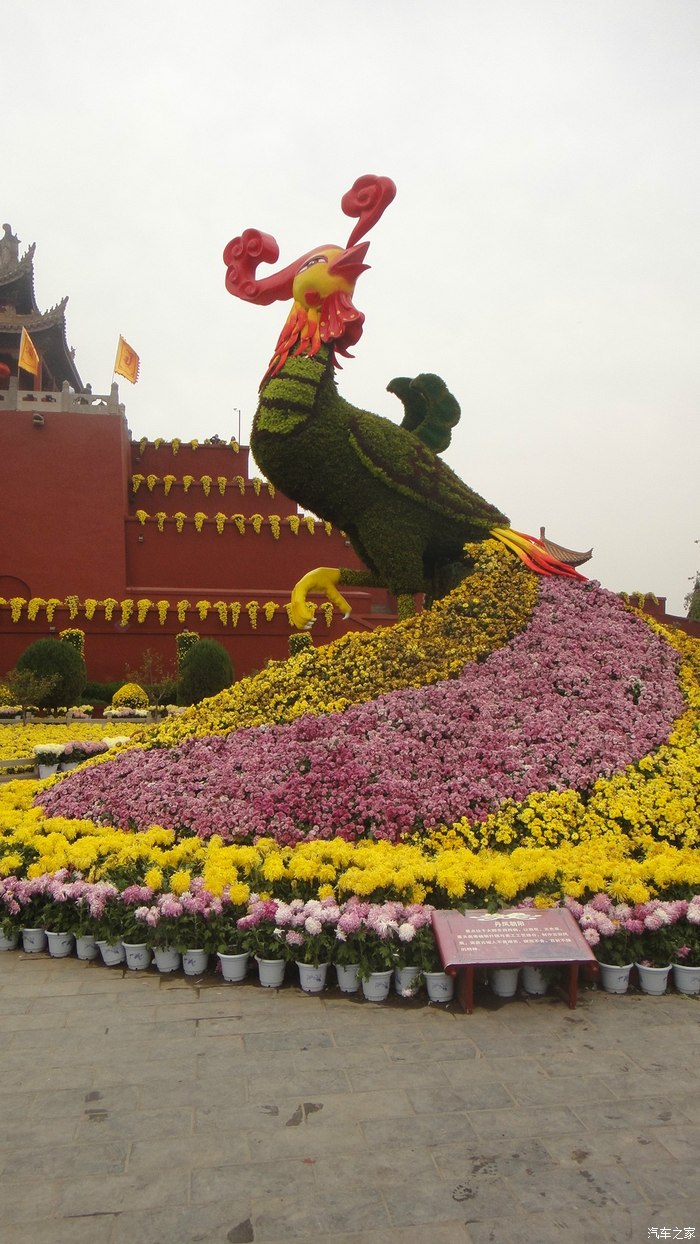 二零一四年开封第三十二届菊花展