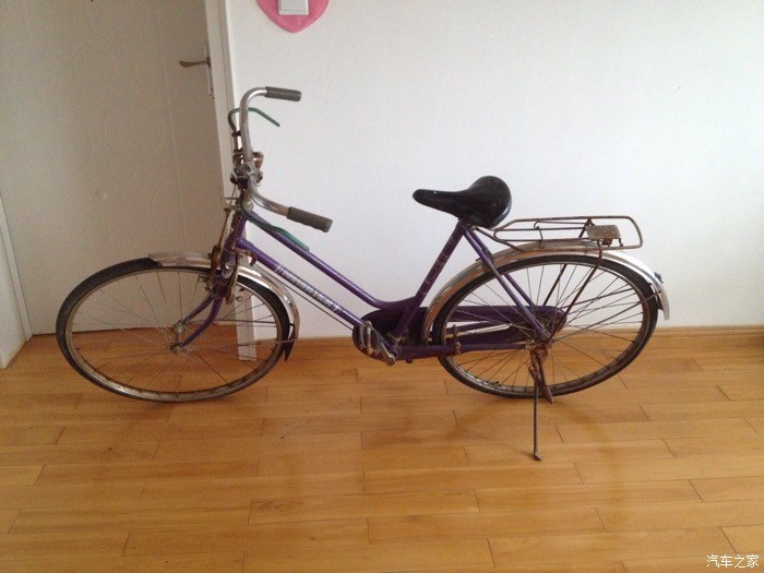 【图】陪伴两代人的传奇-90年代老金狮_自行车论坛_汽车之家论坛