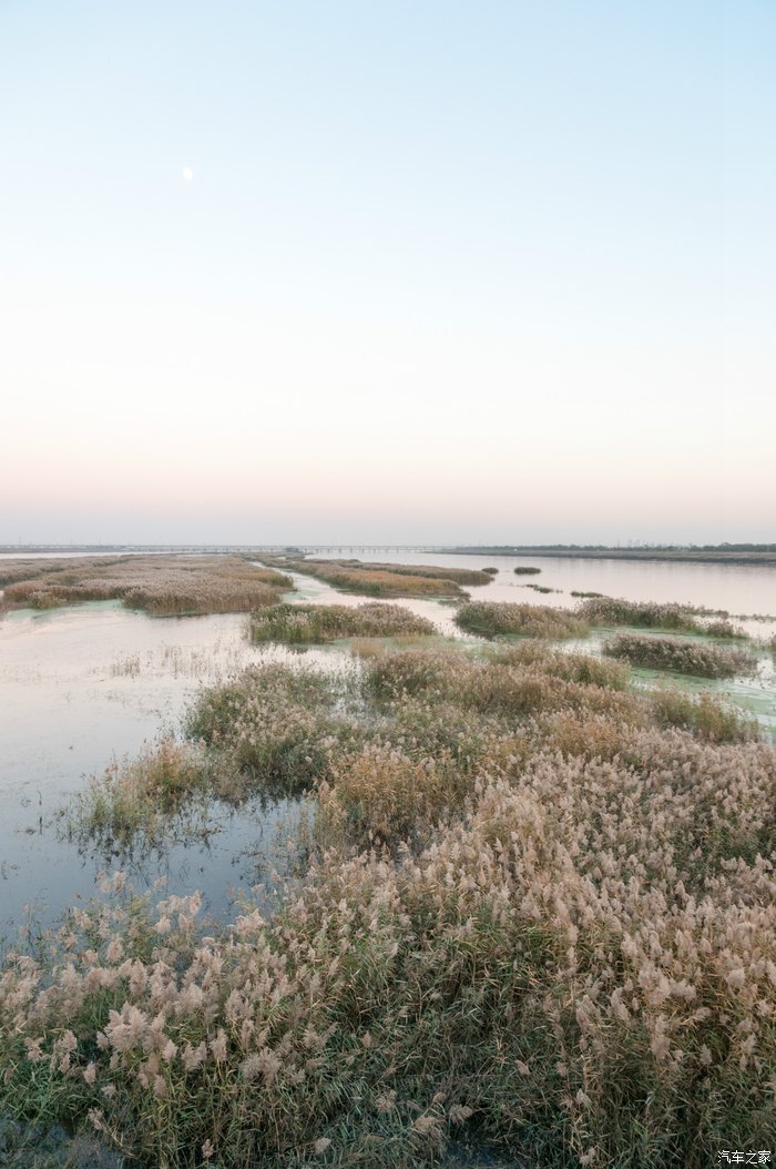独流减河秋色(17日最后更新之彩针大桥,在78楼)_天津论坛_汽车之家