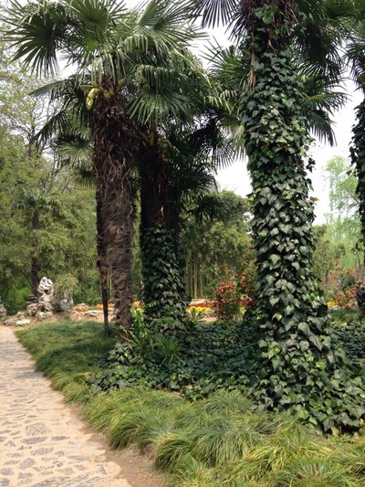 迟到的丢丢2.0时尚作业,请求版主认真_蒙迪欧论坛_手机汽车之家