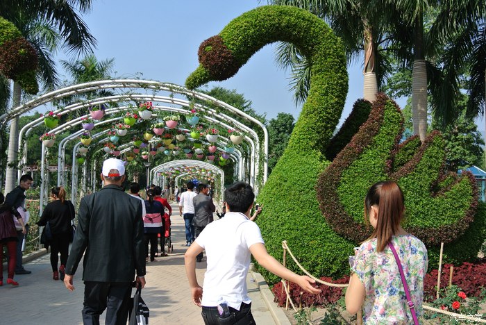 游东南花都花博会