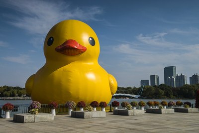 逛世纪公园,看到了大黄鸭.
