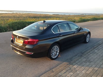 宝马525li 巴西棕作业