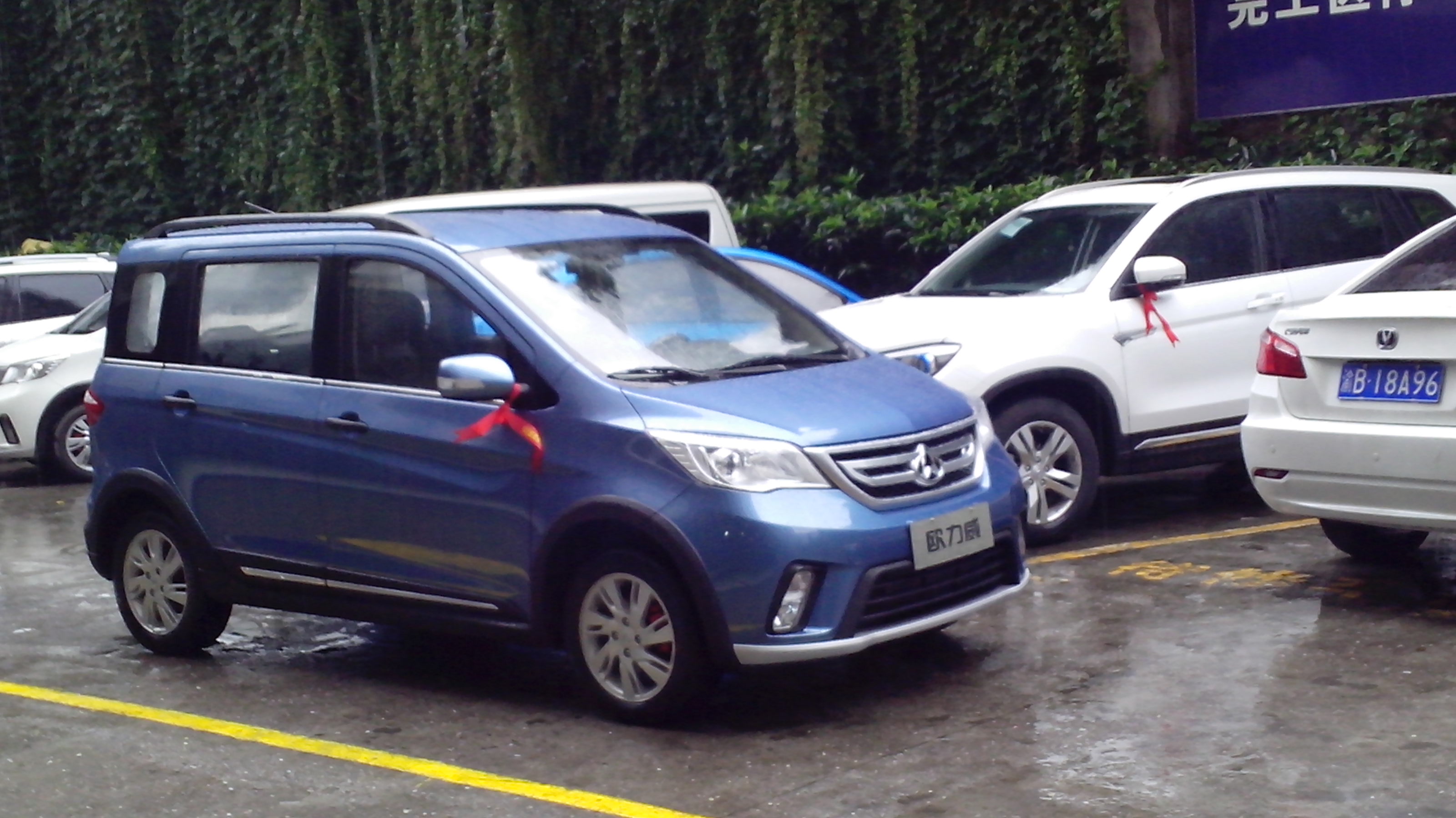 小o蓝色车有图片吗?