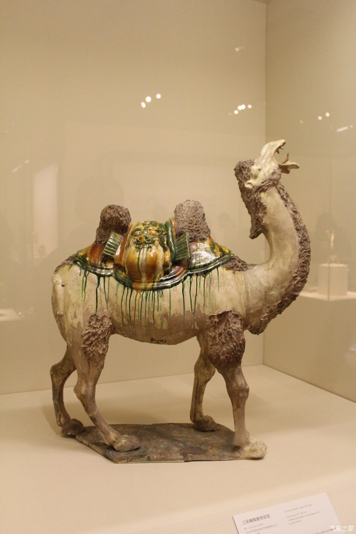 这场丝绸之路展无法复制参观国家博物馆丝绸之路展
