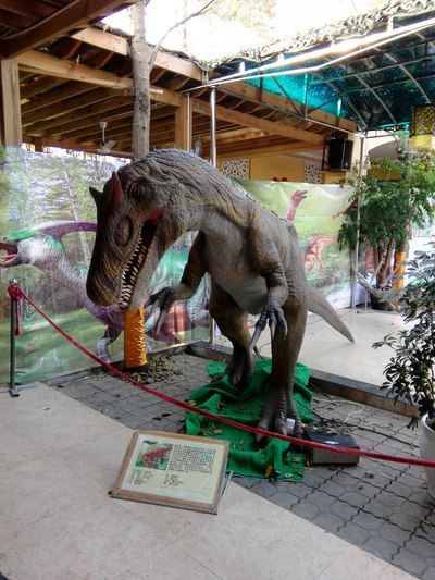 火龙翼龙翅膀也会动包括那个仿恐龙化石在恐龙展出旁边还有3d电影坑爹