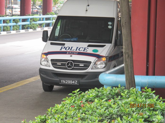 新加坡车牌号图片