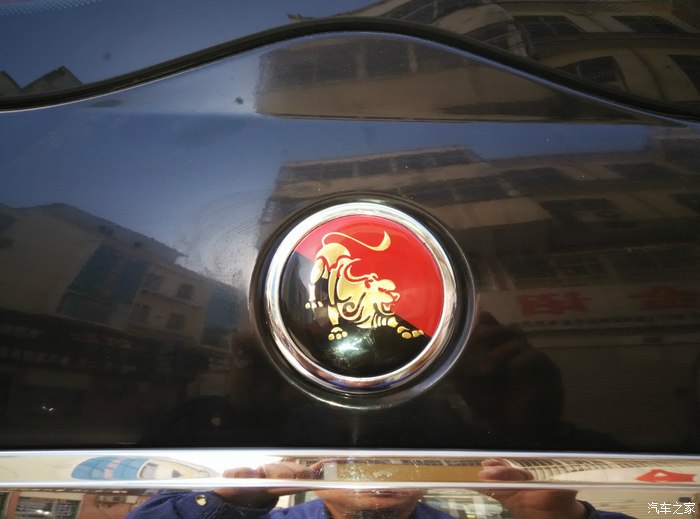 今天闲了一点,把我的黑逸的车标换成成了藏獒标了.