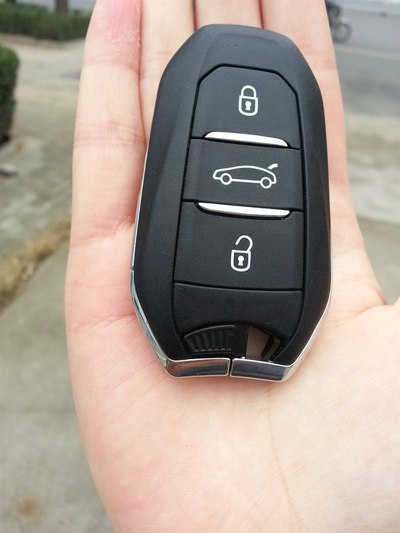 我的小"狮"妹 东风标致新一代408