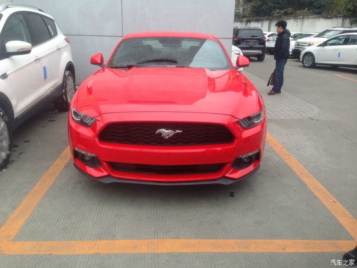 多图慎入!国内2.3实车你们进来看吗?