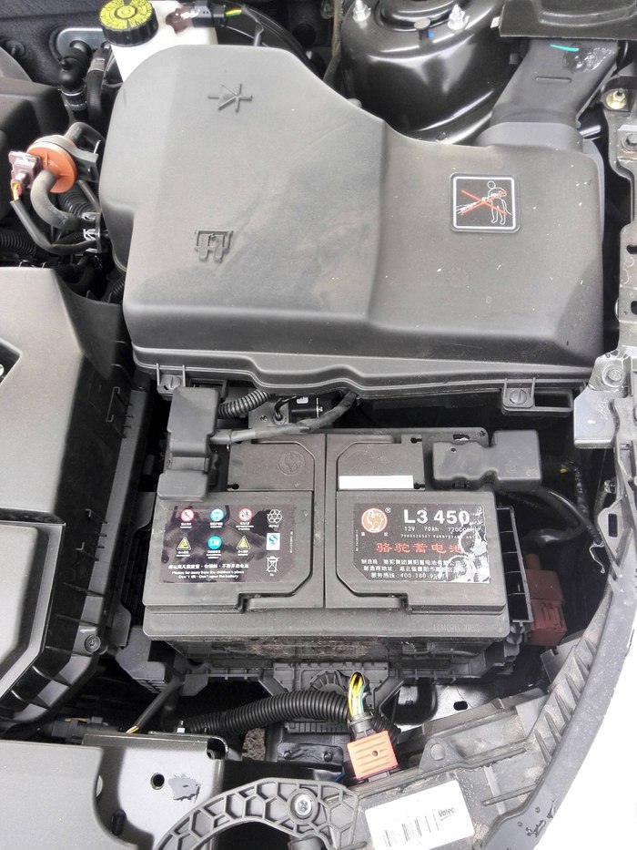 【图】求解,电瓶的负极上有没有黑盖啊?_雪铁龙c5论坛_汽车之家论坛