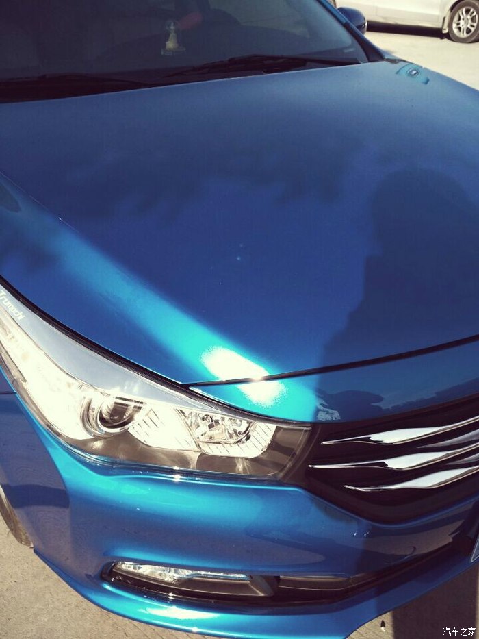 波斯蓝用车感受提车一个月波斯猫眯着它的双眼