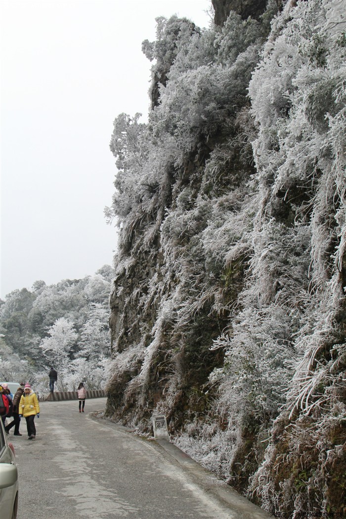 武鸣大明山下雪图片图片