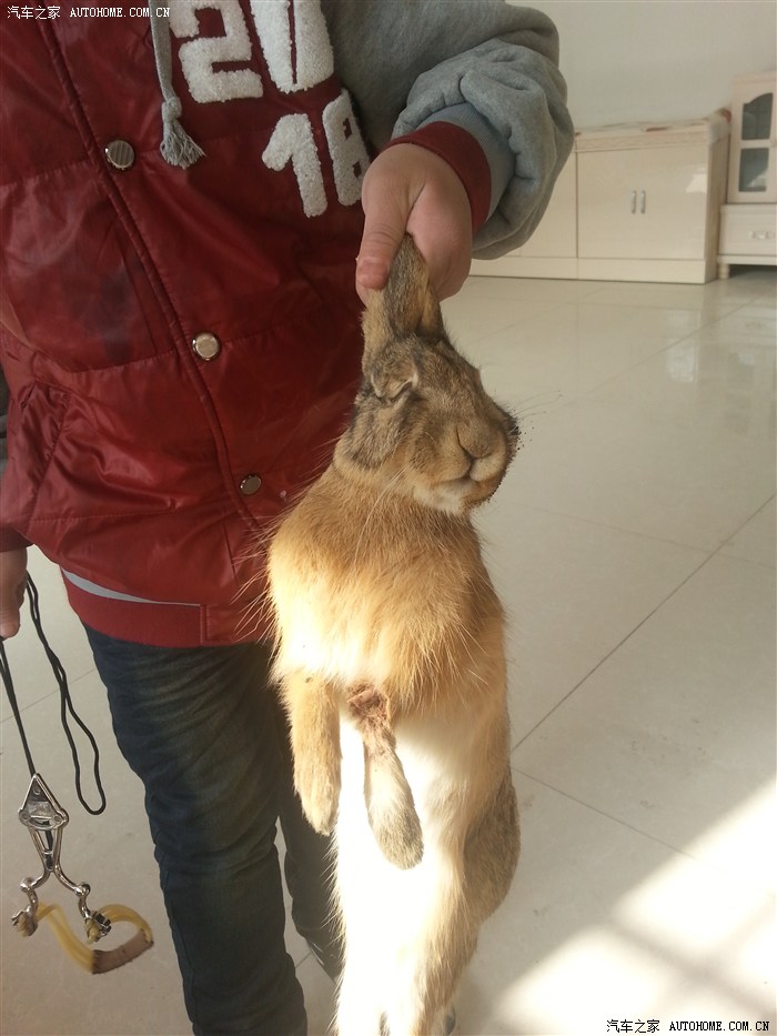 各位朋友开工大吉!迟到两年的作业!长途跋涉沿途风景多图.