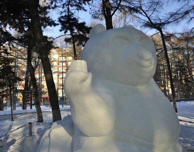 2015新年第一天游览长春南湖公园雪雕