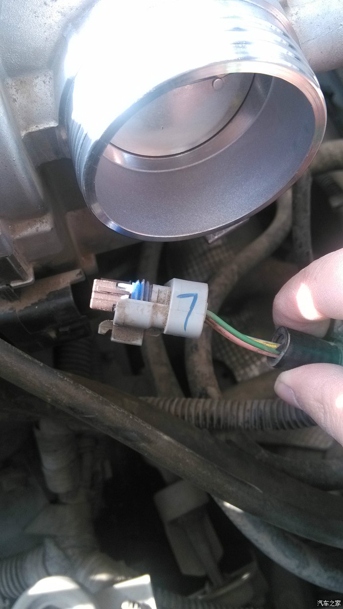 【图】爱丽舍cng提前点火器t510安装作业_爱丽舍论坛_汽车之家论坛