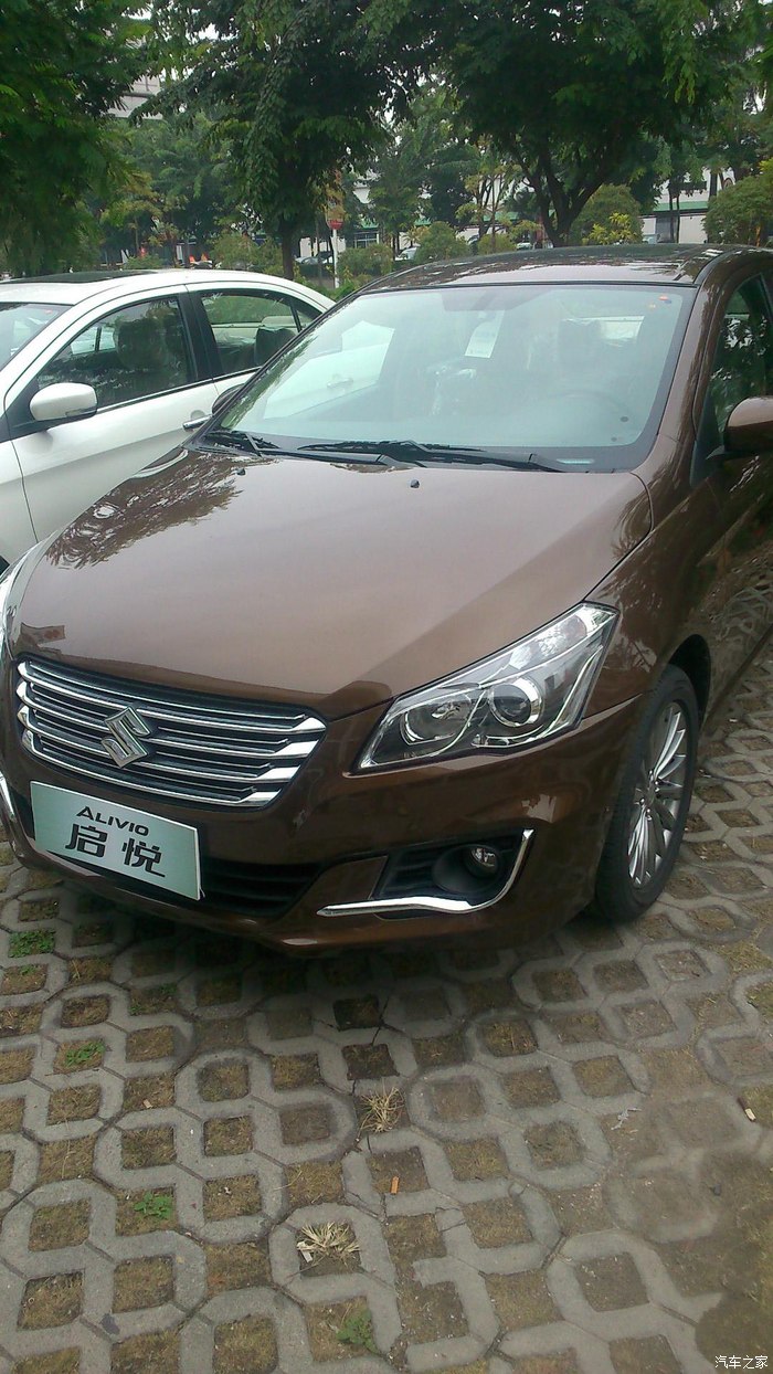 铃木启悦元旦提车