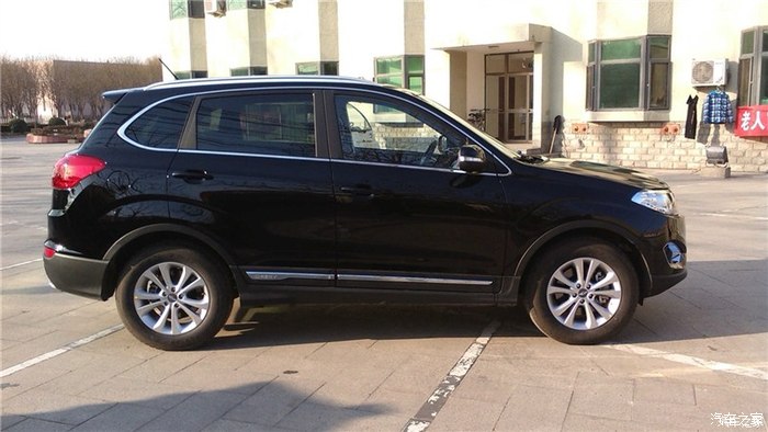 虎五,白,棕,红哪个颜色更好.