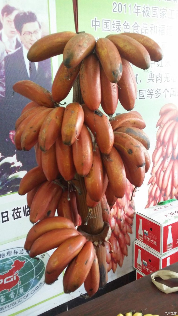 红香蕉哦,10元斤,不过口感还好,机场要28元斤,差距啊