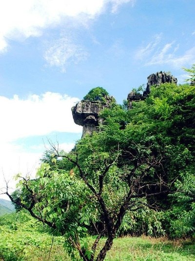 连平县上坪镇小水村图片