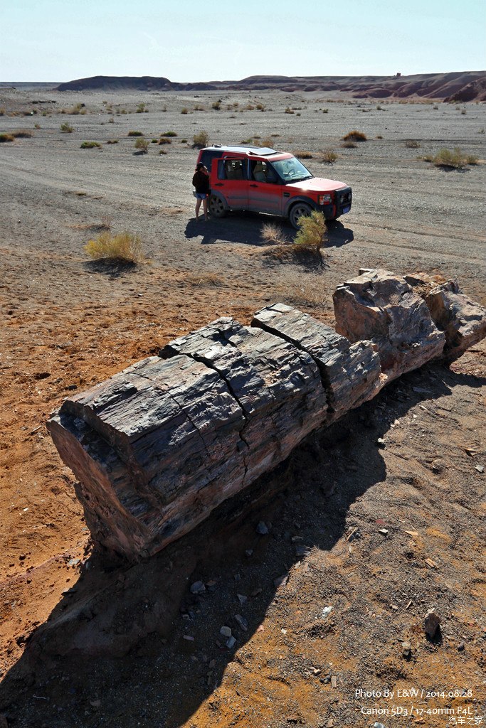 硅化木公园允许驾车入内,堪称一座自由开放的自然文化博物馆