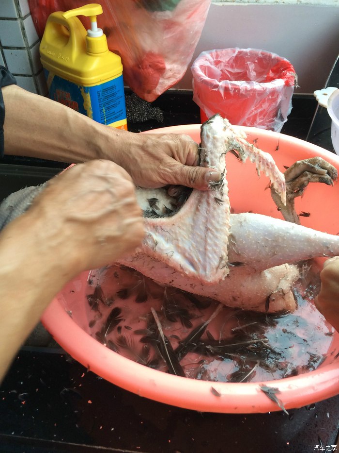 1月12日上午下雨就杀鹅做午饭吃呢