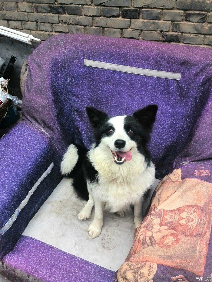 收国四排放马三自用,版主留情.