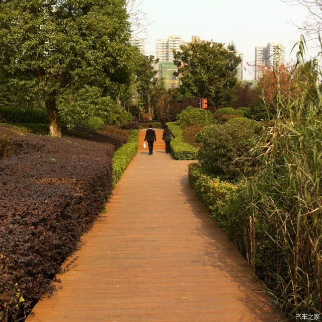 冬日暖阳,小逛在公园,满满的幸福感,有图有真相!