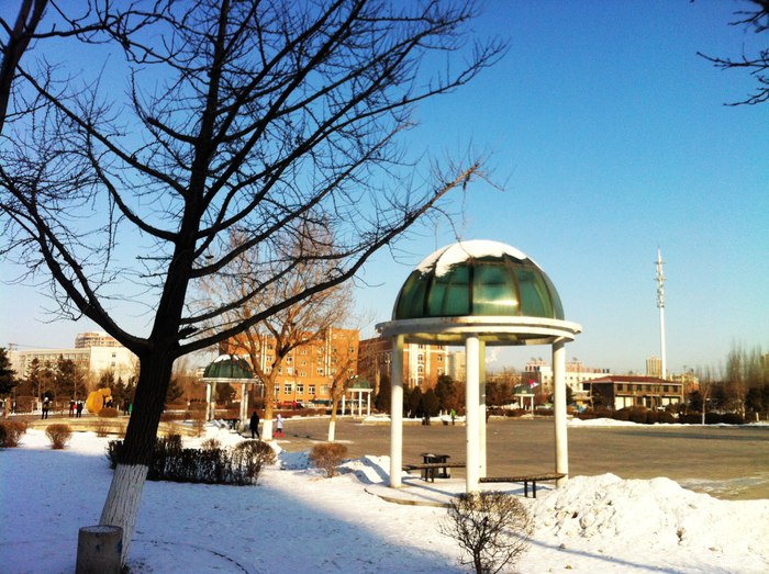 随拍沈阳大东广场