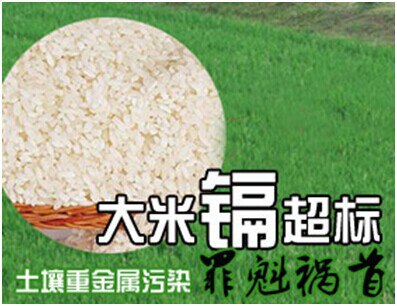 大米危机镉大米的危害
