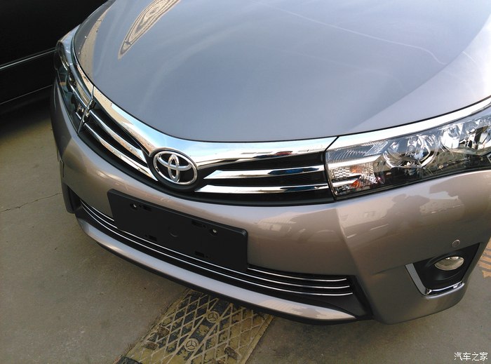 【青铜色卡罗拉】 已成功领回家 陪我过春节吧