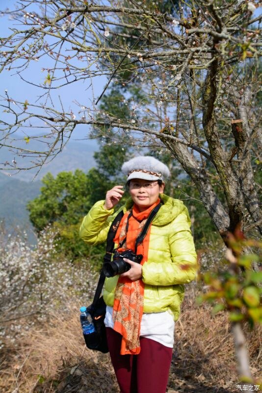 诏安赏梅拍美女游金光明寺