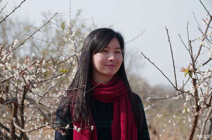 诏安赏梅拍美女游金光明寺