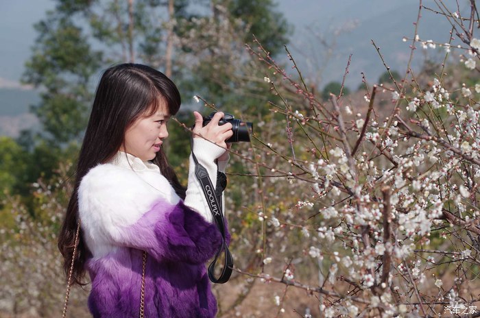 诏安赏梅拍美女游金光明寺