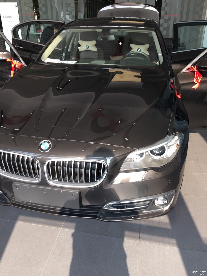【图】求巴西棕现车图片_宝马5系论坛_汽车之家论坛
