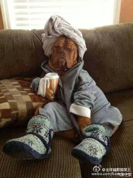 leeyee每日幽默随拍实用知识美图好文收藏分享