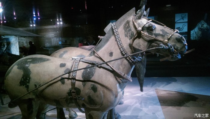 此驾马车为荣誉出品