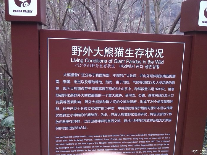 川西游都江堰熊猫谷街子古镇